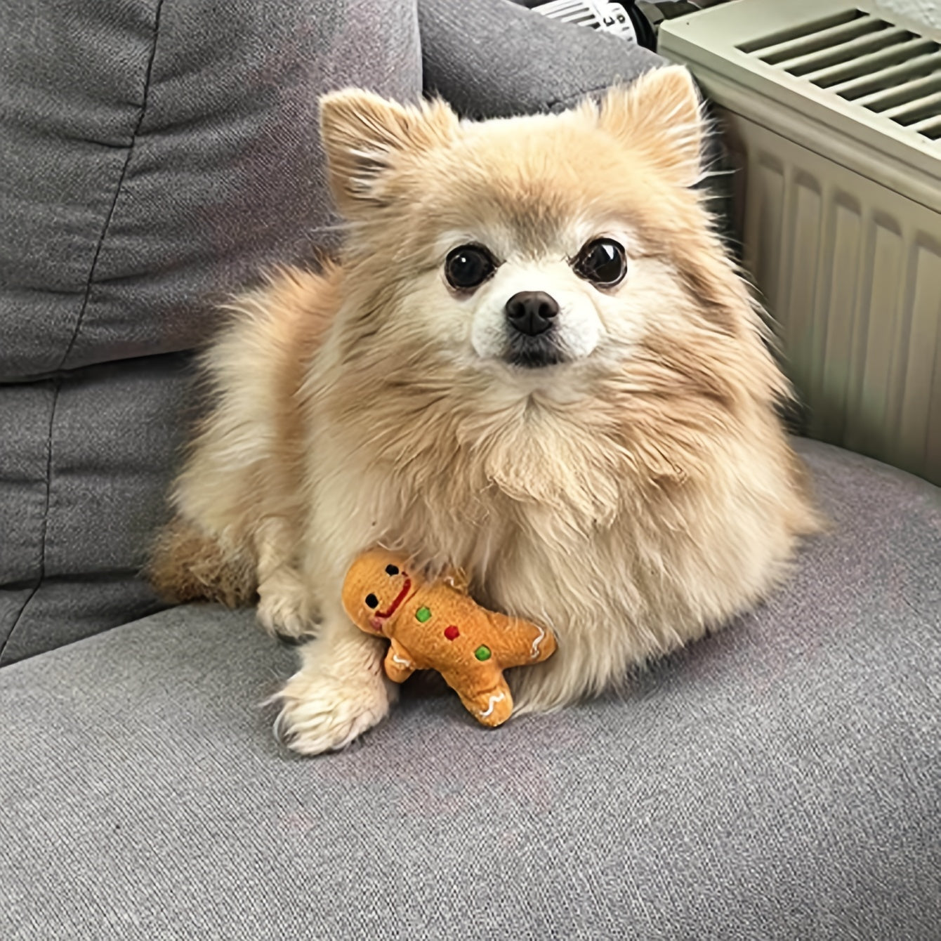 Adorable Christmas Gingerbread For Man Plush Toy - Soft, Cuddly, and Durable Fabric Construction for Pets, Perfect for Interactive Play, Chewing, and Snuggling - Ideal Holiday Gift for Pet Lovers
