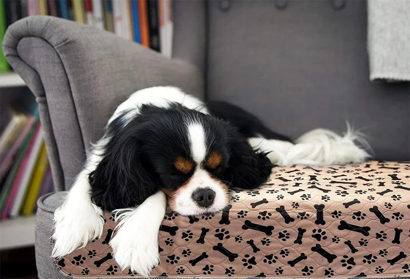 ZK20 Reusable Pet Urine Pad Washable Dog Cat Diaper Mat 3 Layer Absorbent Dogs Diapers Pads Bone Paw Print For Sofa Bed Floor