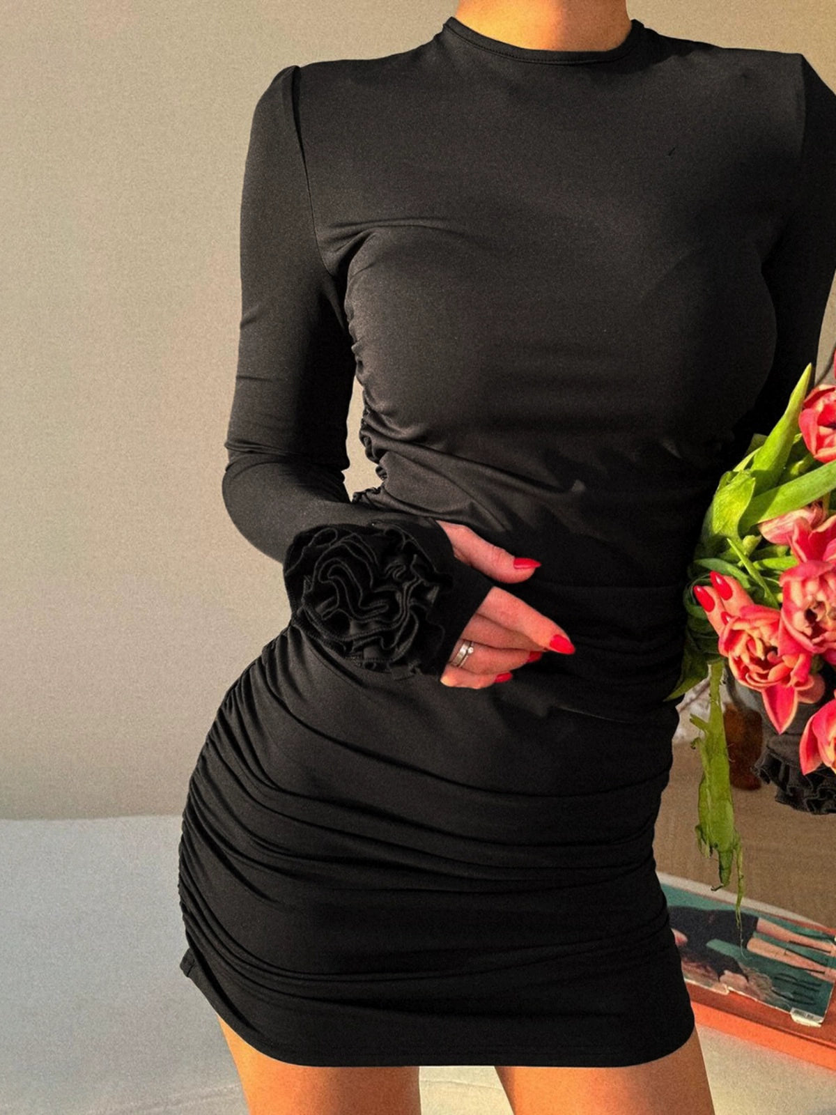 Crew Neck Long Sleeves Dress