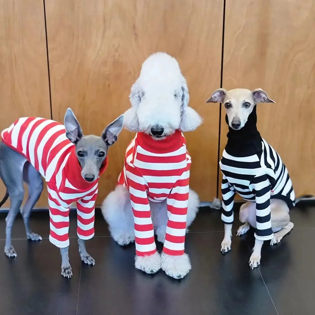 Cute High Neck Colorblock Italian Greyhound Clothes Cotton Stretch Puppy Clothes Whippet/Bellington Medium Dog Pet Clothes