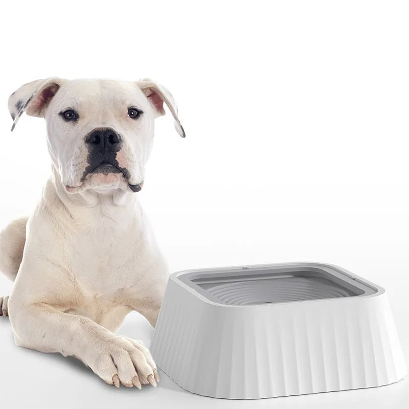 Hot-selling pet filter bowl without wet mouth pet bowl floating prevent overturning puppy cat drinking water device