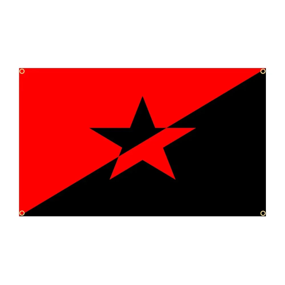 Banner 90x150cm 3x5 Ft Anarchist Black Cat Flag for Decor Anarchy Star Flag(Anarchy Flag)