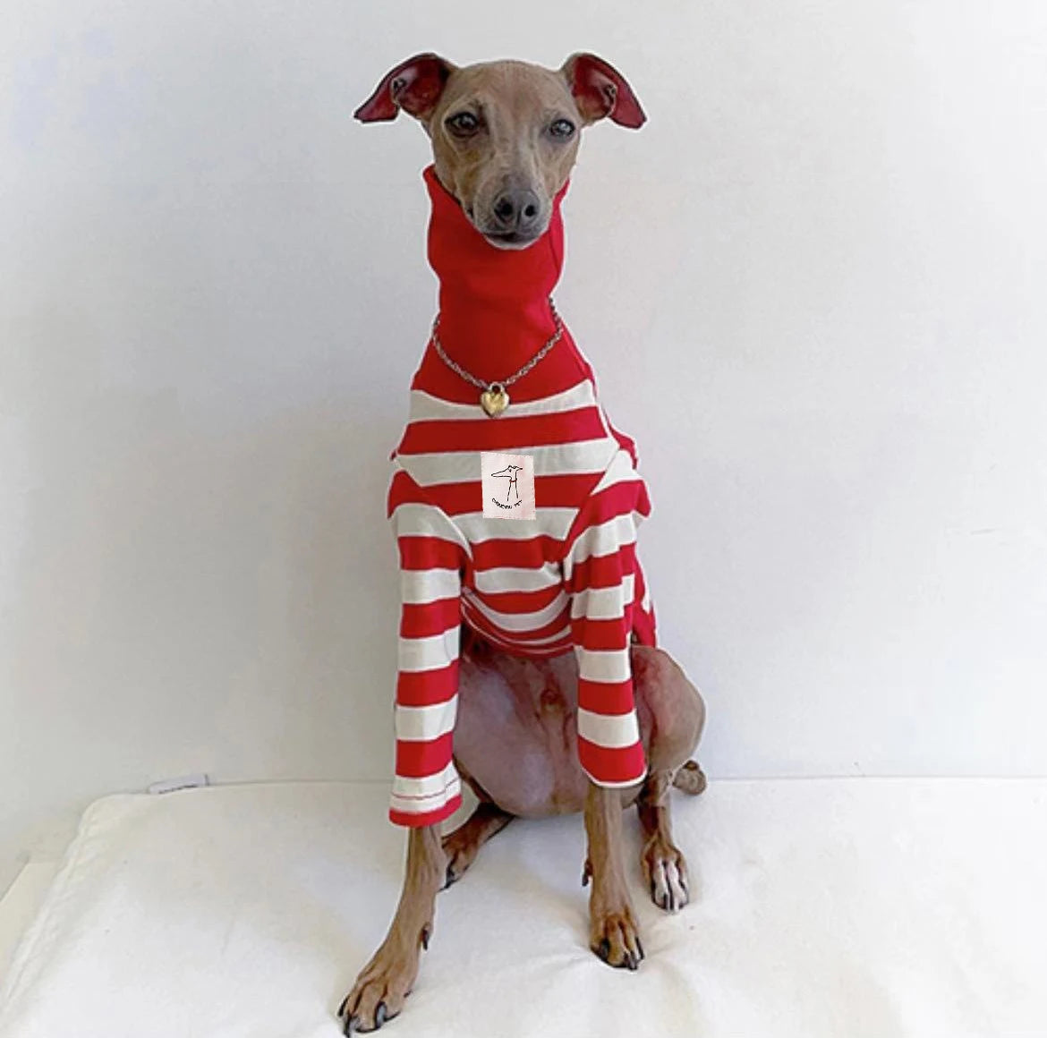 Cute High Neck Colorblock Italian Greyhound Clothes Cotton Stretch Puppy Clothes Whippet/Bellington Medium Dog Pet Clothes