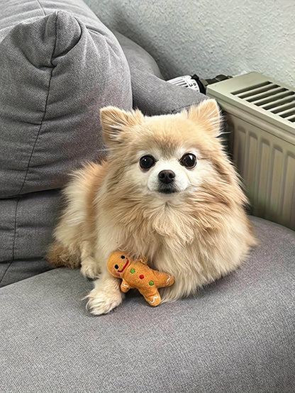 Adorable Christmas Gingerbread For Man Plush Toy - Soft, Cuddly, and Durable Fabric Construction for Pets, Perfect for Interactive Play, Chewing, and Snuggling - Ideal Holiday Gift for Pet Lovers