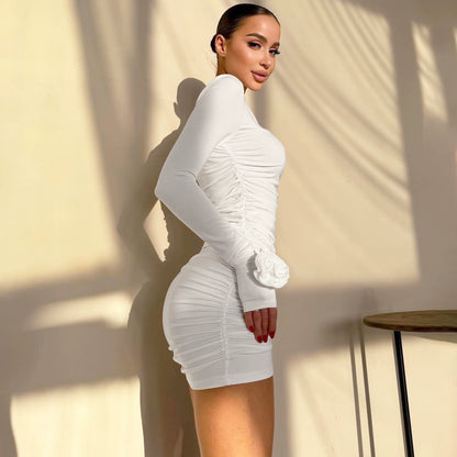 Crew Neck Long Sleeves Dress