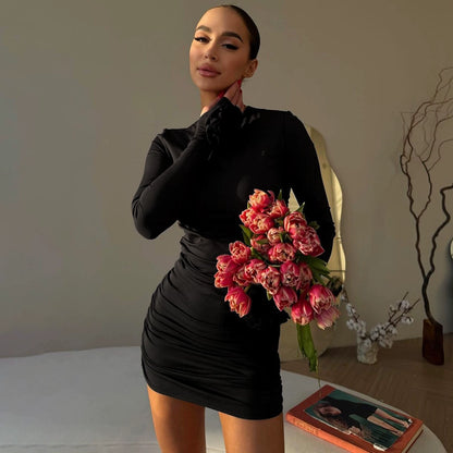 Crew Neck Long Sleeves Dress