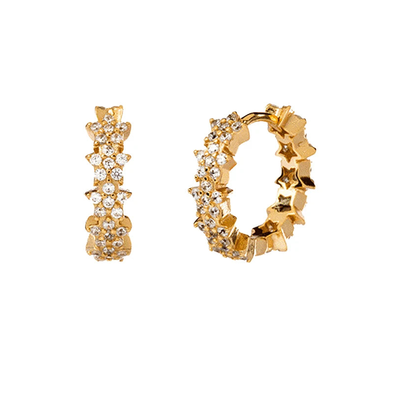Luxury 925 Sterling Silver Ear Needle Flower Colorful Crystal Gold Earring For Women Hoop Earrings Trend Jewelry  Accessories