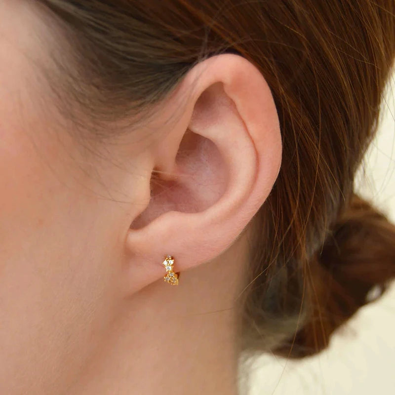 Luxury 925 Sterling Silver Ear Needle Flower Colorful Crystal Gold Earring For Women Hoop Earrings Trend Jewelry  Accessories