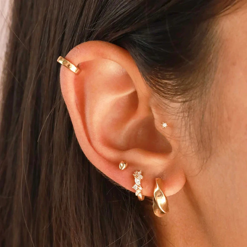 Luxury 925 Sterling Silver Ear Needle Flower Colorful Crystal Gold Earring For Women Hoop Earrings Trend Jewelry  Accessories