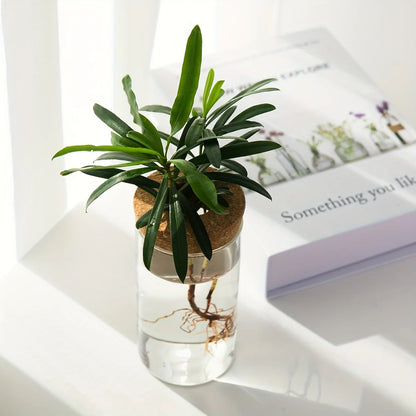 1pc, Hydroponics Plants Desktop Glass Planter Vase For Home Decoration, Plant Propagation Station Bud Vase, Desktop Hydroponics