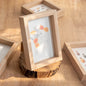 DIY 3D Dried Flower Photo Frames Specimen Stand for Home Decor Desktop Ornment Decoração Para Sala Clear Photo Frame Mini Frame