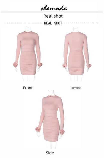 Crew Neck Long Sleeves Dress