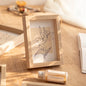 DIY 3D Dried Flower Photo Frames Specimen Stand for Home Decor Desktop Ornment Decoração Para Sala Clear Photo Frame Mini Frame