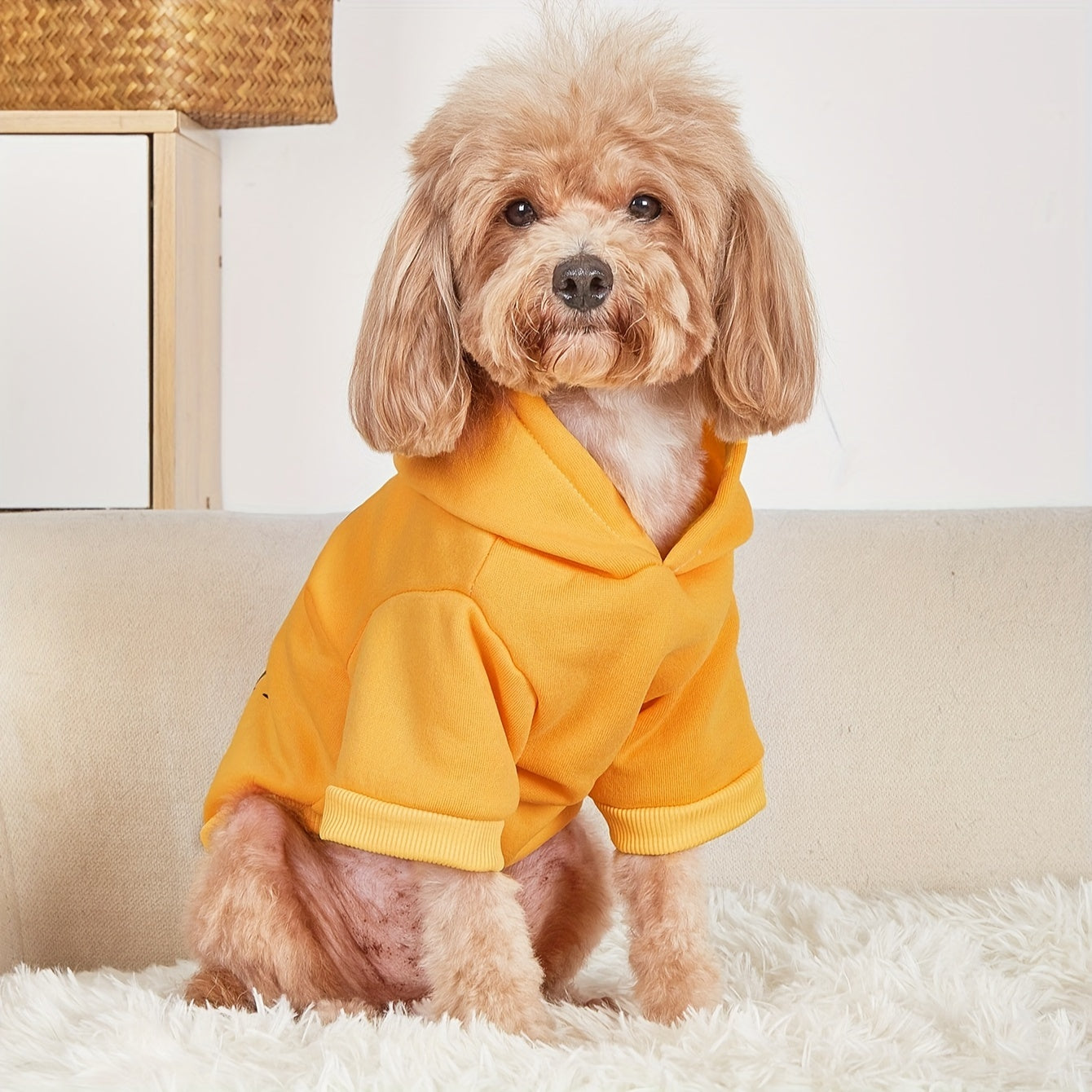 [For Small Pets Cozy Hoodie] Cozy Daisy & Letter Print Hoodie for Pets - All-Season Pullover Sweatshirt for Small to Large Dogs and Cats, Machine Washable