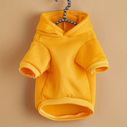 [For Small Pets Cozy Hoodie] Cozy Daisy & Letter Print Hoodie for Pets - All-Season Pullover Sweatshirt for Small to Large Dogs and Cats, Machine Washable
